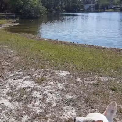 Seminole Lake Park - Boiling Spring Lakes, NC