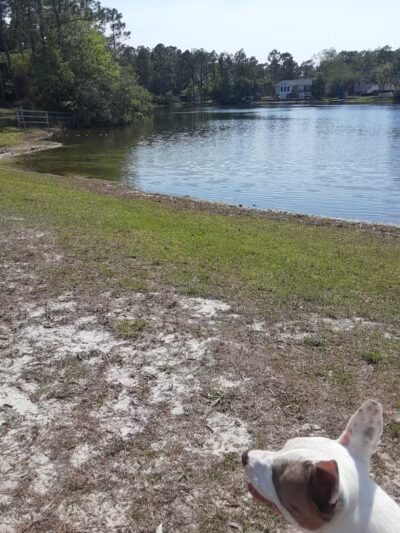 Seminole Lake Park - Boiling Spring Lakes, NC