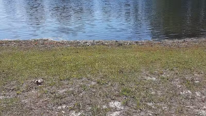 Seminole Lake Park - Boiling Spring Lakes, NC