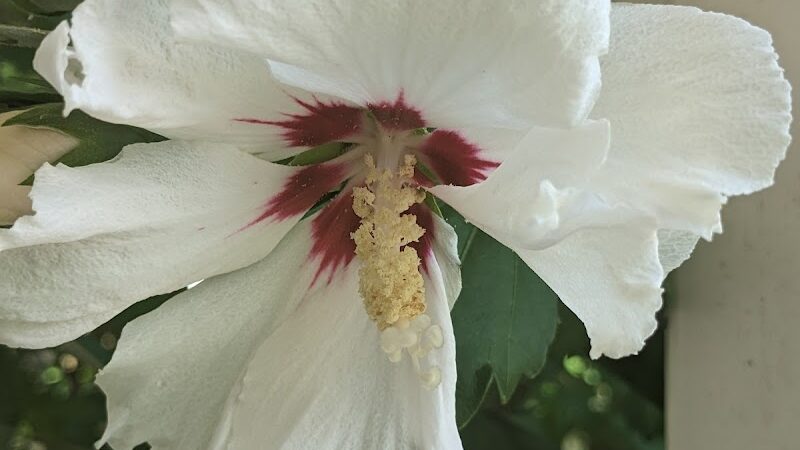 Boiling Springs Community Park - Boiling Springs, SC