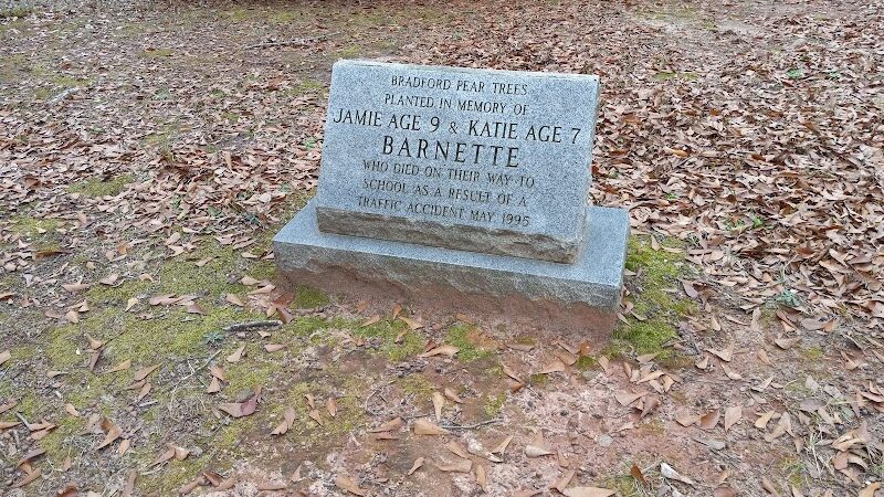 Boiling Springs Community Park - Boiling Springs, SC