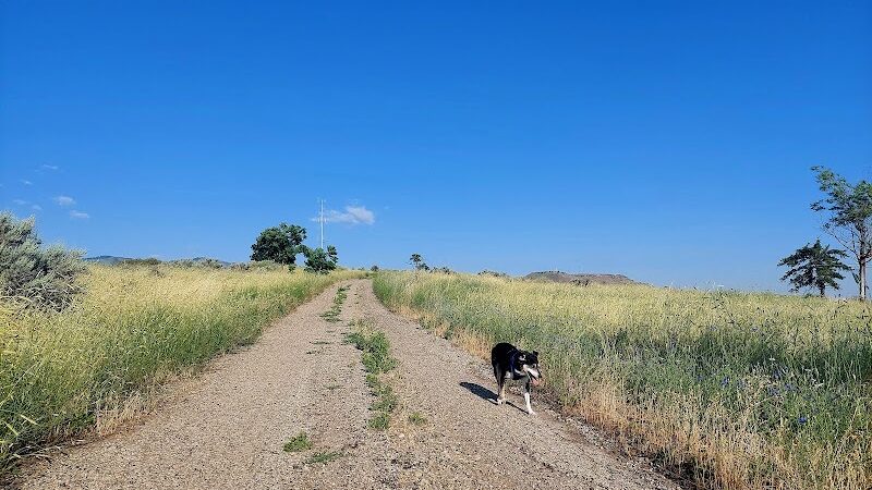 Fort Boise Dog Park