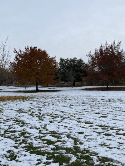 Morris Hill Dog Park