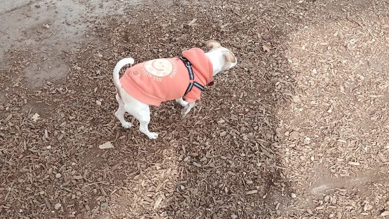 Morris Hill Dog Park