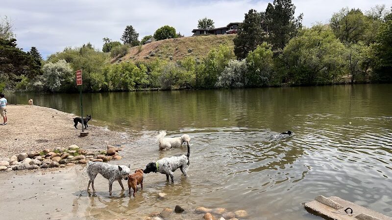 Together Treasure Valley Dog Island