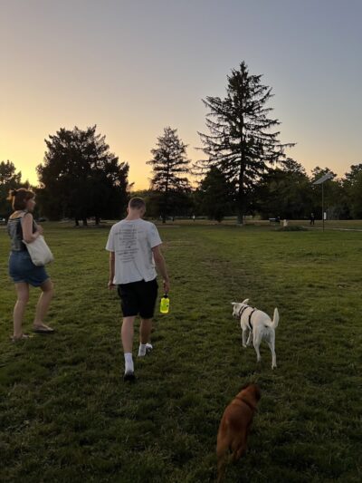 Together Treasure Valley Dog Island