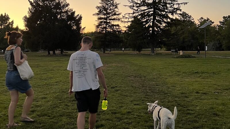 Together Treasure Valley Dog Island