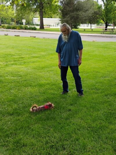 Together Treasure Valley Dog Island