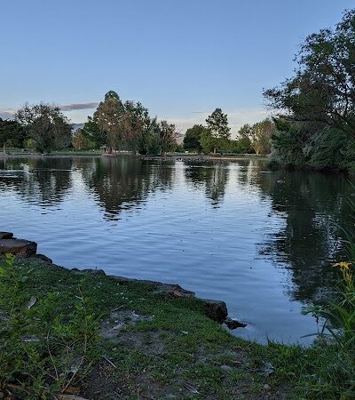 Together Treasure Valley Dog Island