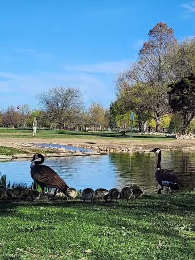 Together Treasure Valley Dog Island