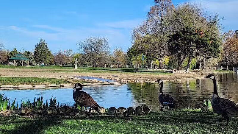 Together Treasure Valley Dog Island