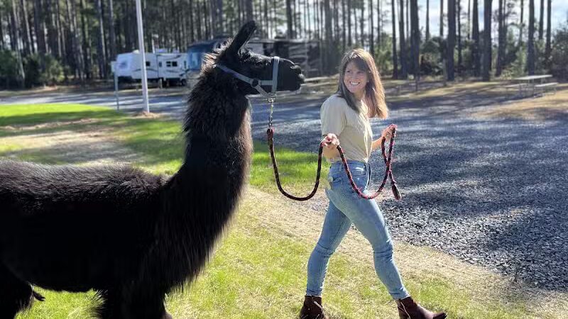 In The Pines RV & Cabin Village - Bolivia, NC