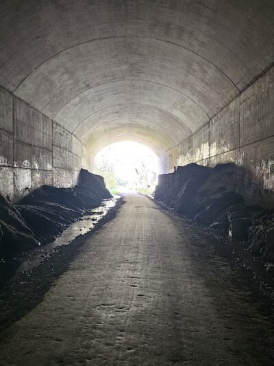Bolton Notch State Park - Bolton, CT