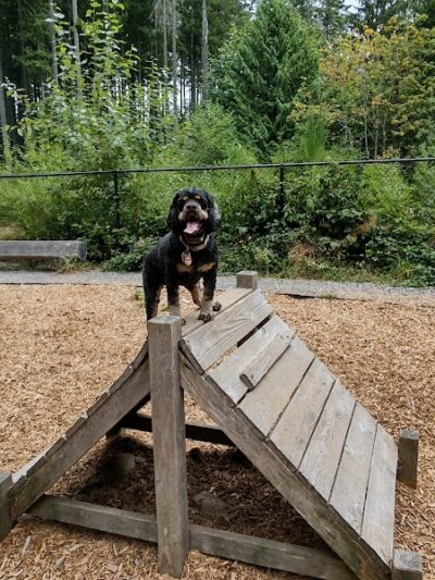 Hounds Hollow Dog Park - Bonney Lake, WA