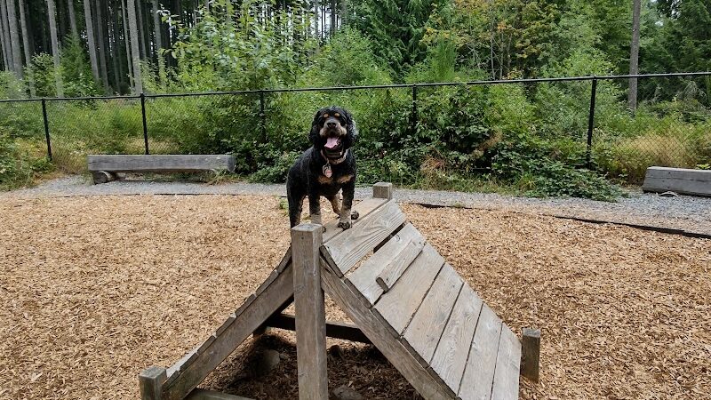 Hounds Hollow Dog Park - Bonney Lake, WA