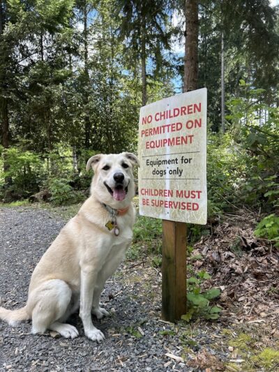 Hounds Hollow Dog Park - Bonney Lake, WA