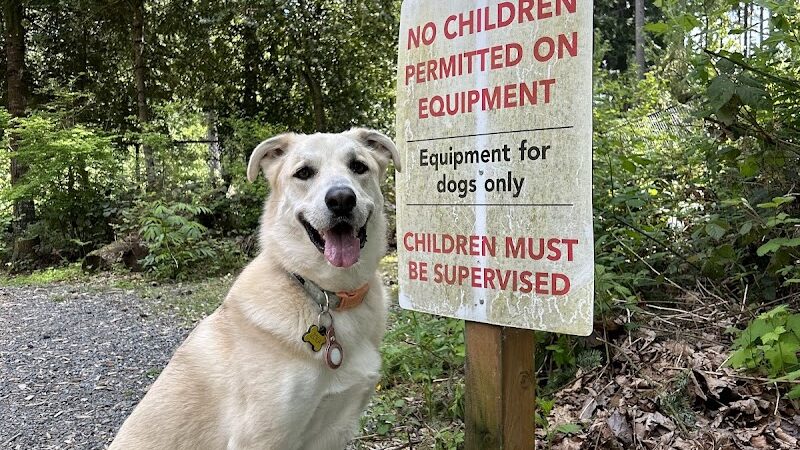 Hounds Hollow Dog Park - Bonney Lake, WA
