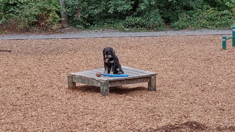 Hounds Hollow Dog Park - Bonney Lake, WA