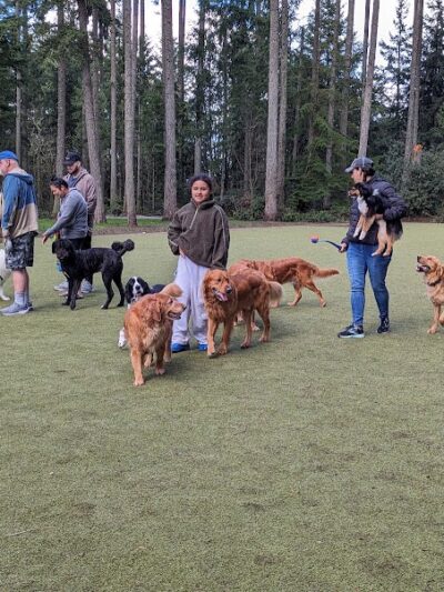 Hounds Hollow Dog Park - Bonney Lake, WA