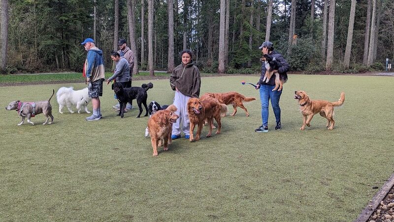 Hounds Hollow Dog Park - Bonney Lake, WA