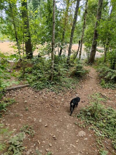 Hounds Hollow Dog Park - Bonney Lake, WA