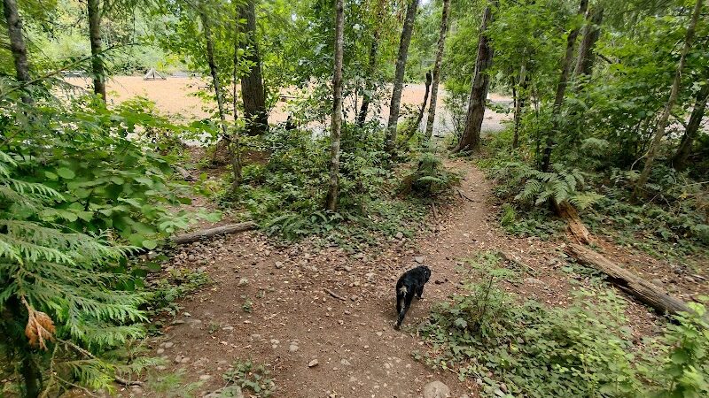 Hounds Hollow Dog Park - Bonney Lake, WA