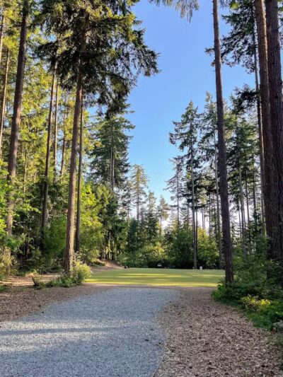 Hounds Hollow Dog Park - Bonney Lake, WA