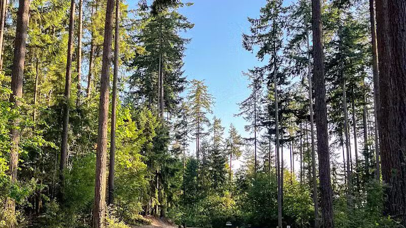 Hounds Hollow Dog Park - Bonney Lake, WA