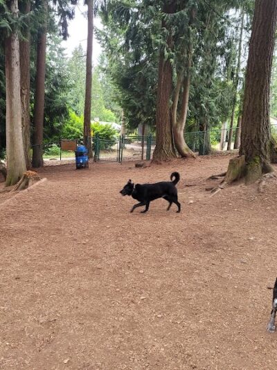 Viking Park, Off-leash Dog Park - Bonney Lake, WA