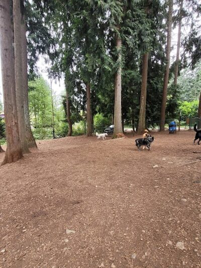 Viking Park, Off-leash Dog Park - Bonney Lake, WA