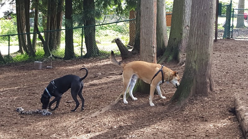 Viking Park, Off-leash Dog Park - Bonney Lake, WA