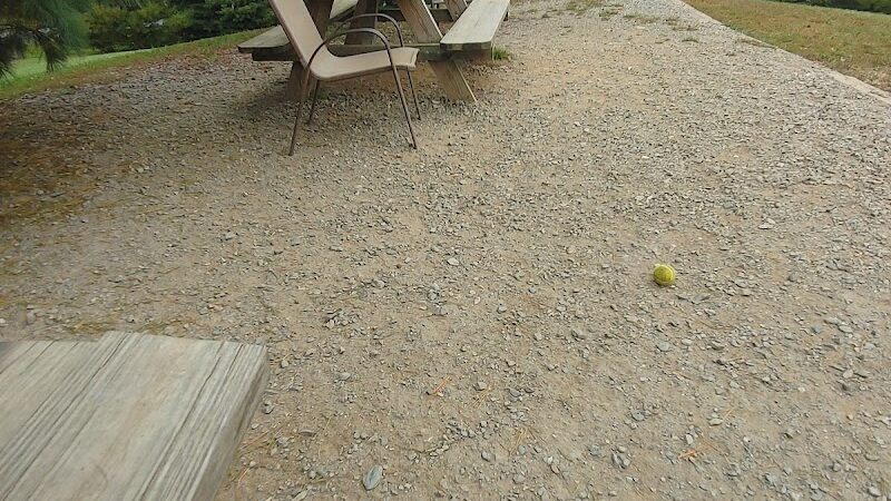 Humane Society Dog park - Boone, NC