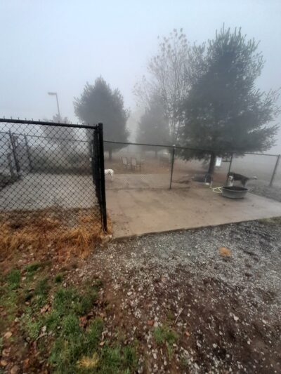 Humane Society Dog park - Boone, NC