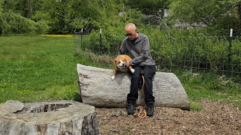 Humane Society Dog park - Boone, NC