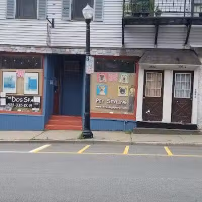 The Dog Spa - Boonton, NJ