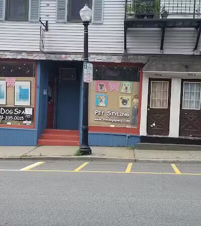 The Dog Spa - Boonton, NJ