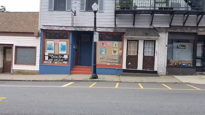 The Dog Spa - Boonton, NJ
