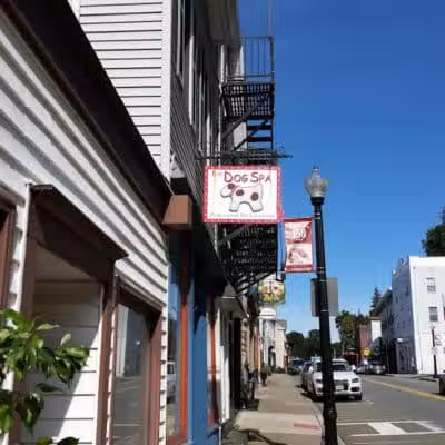 The Dog Spa - Boonton, NJ