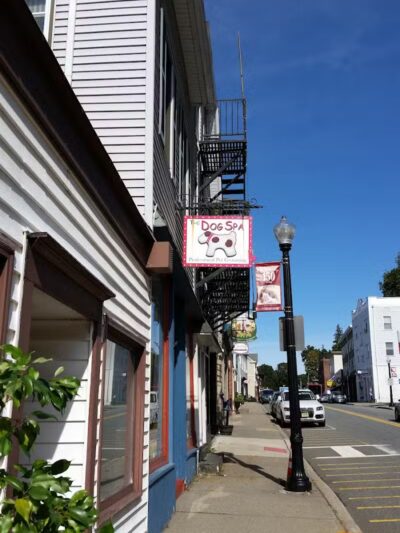 The Dog Spa - Boonton, NJ