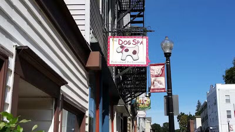 The Dog Spa - Boonton, NJ