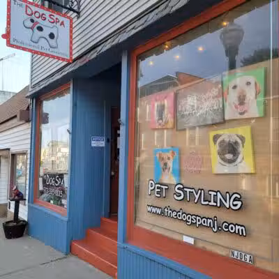 The Dog Spa - Boonton, NJ