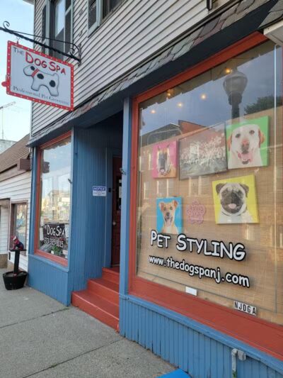The Dog Spa - Boonton, NJ