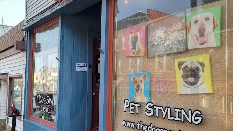 The Dog Spa - Boonton, NJ