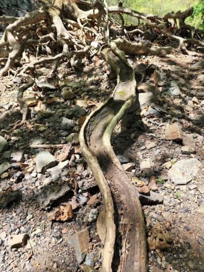 Canal Side Park - Boonton, NJ