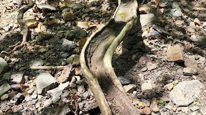 Canal Side Park - Boonton, NJ