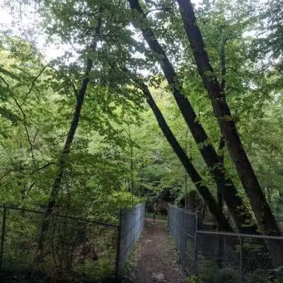Canal Side Park - Boonton, NJ