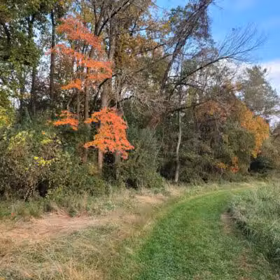 Crystal Lake Hiking Trails - Bordentown, NJ