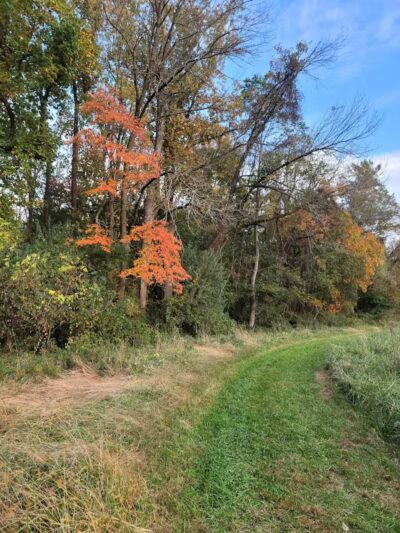 Crystal Lake Hiking Trails - Bordentown, NJ