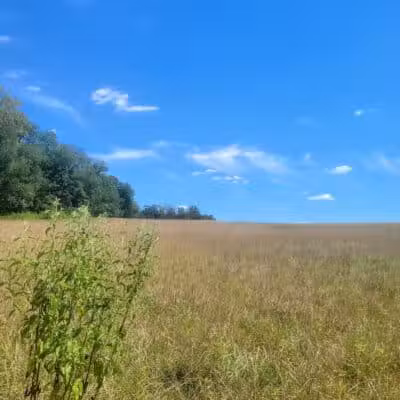 Crystal Lake Hiking Trails - Bordentown, NJ