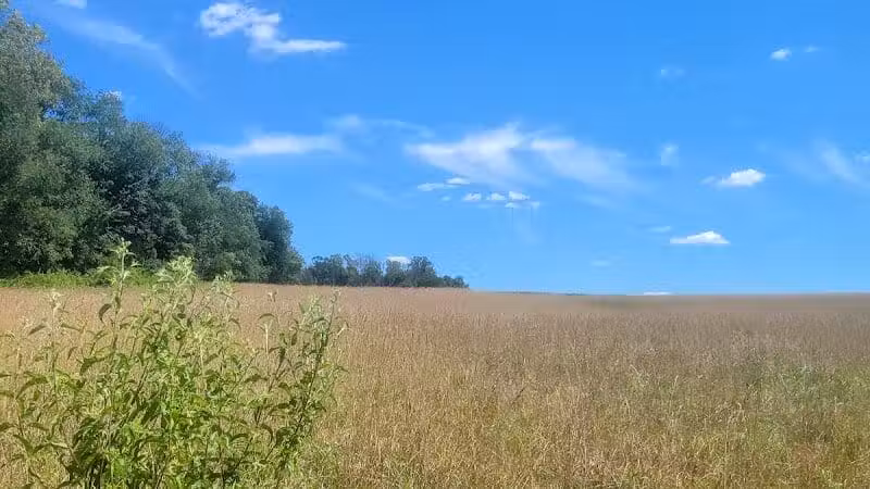 Crystal Lake Hiking Trails - Bordentown, NJ